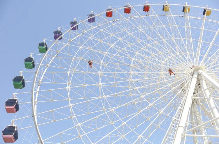 青島海麗雅集團